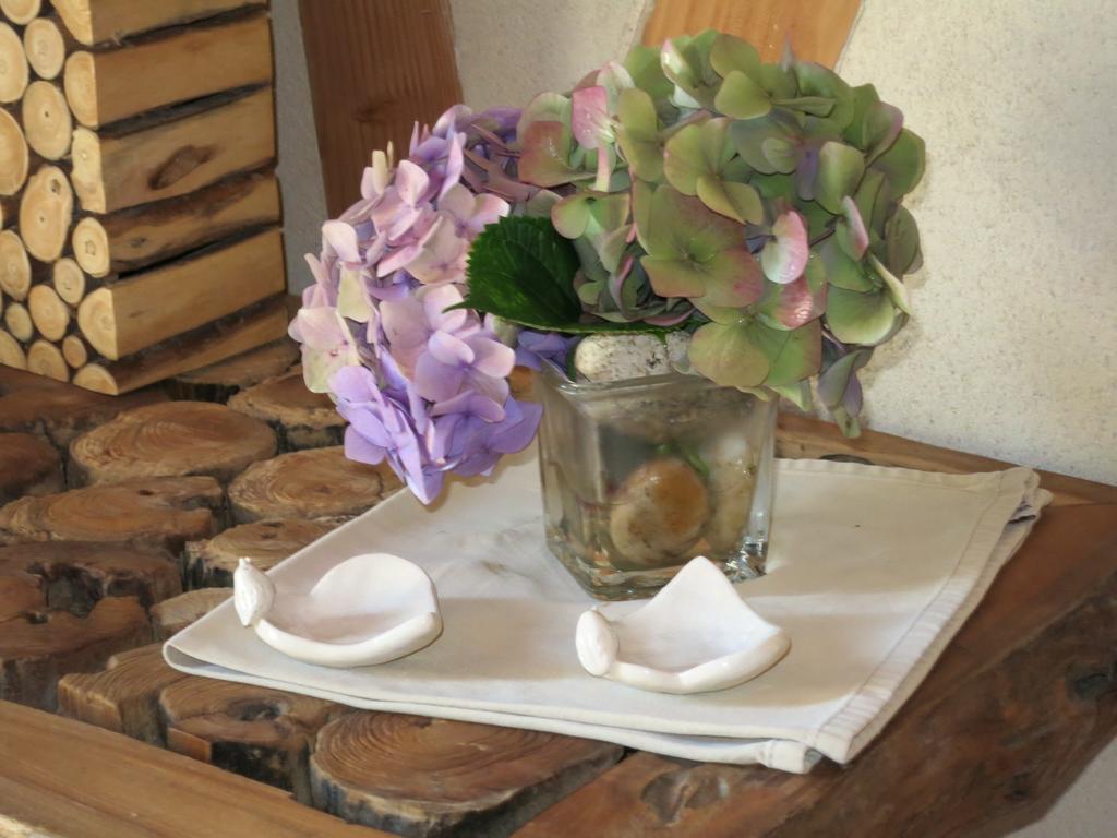 Bed And Breakfast La Fontaine Blanche Melgven Esterno foto